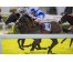  Carrera: P.Jose Luis Martínez "Magic" Caballo: Velerin Monta: R.Sousa